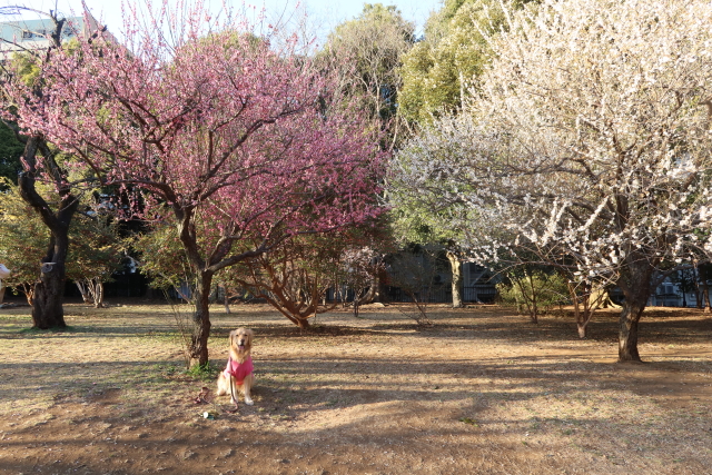 ファイル 7937-2.jpg