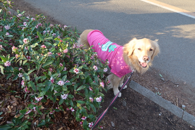 ファイル 7937-4.jpg