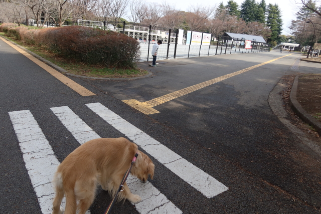 ファイル 7940-2.jpg