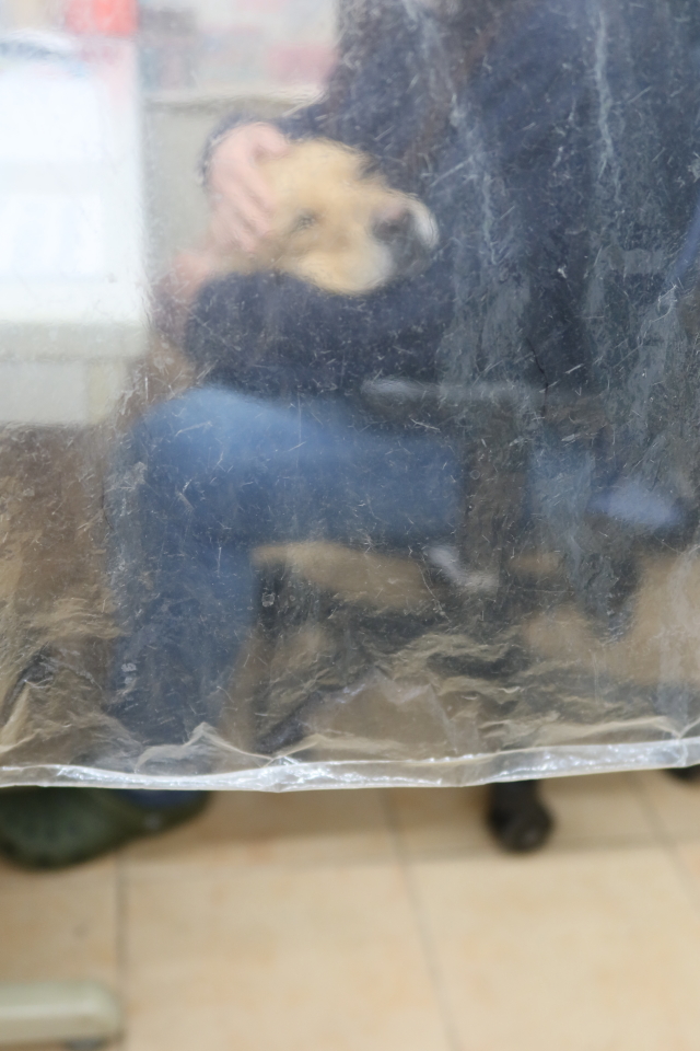 ファイル 7942-1.jpg