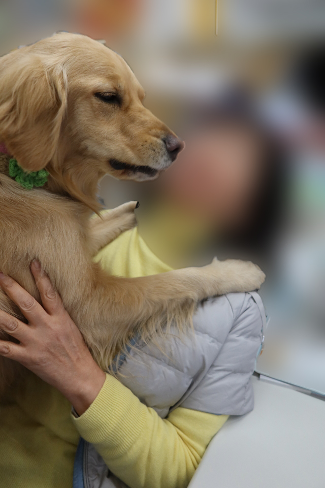 ファイル 7942-2.jpg