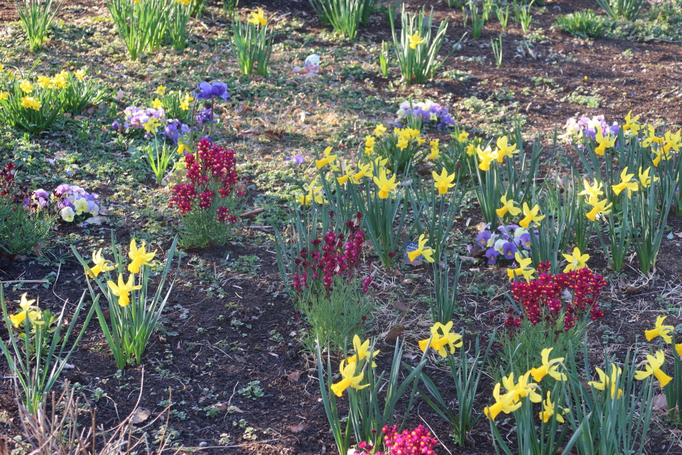 ファイル 7944-4.jpg