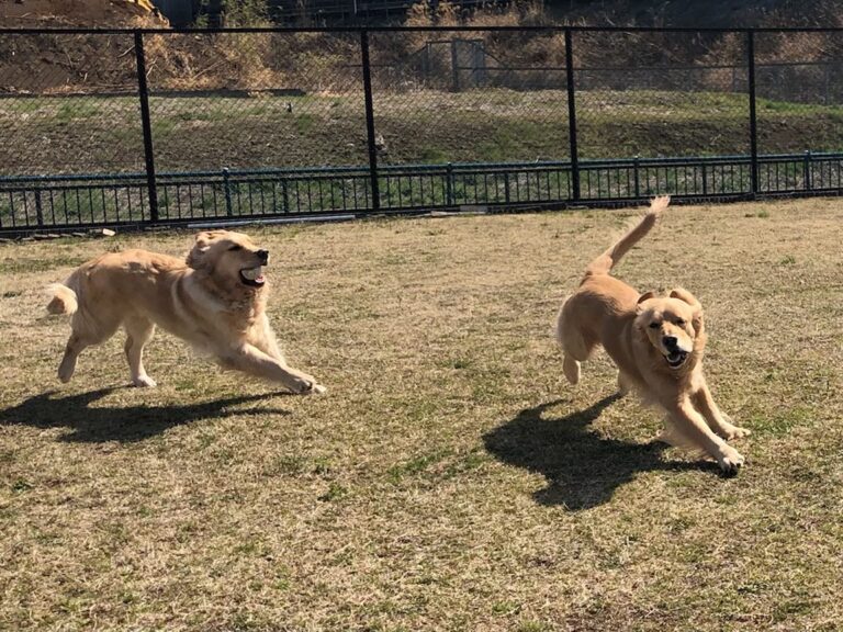 ファイル 7945-5.jpeg