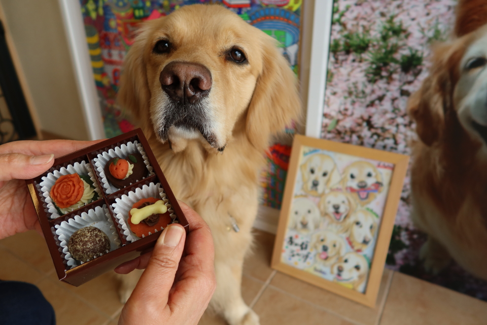 ファイル 7948-4.jpg