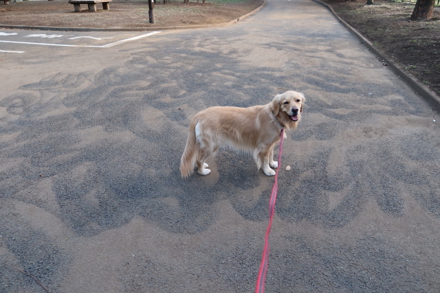 ファイル 7954-5.jpg