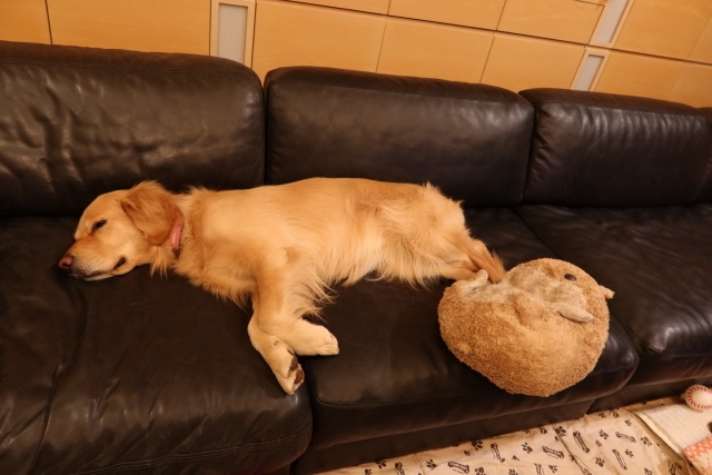 ファイル 7957-2.jpg