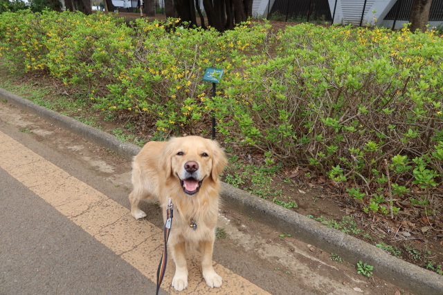 ファイル 7957-5.jpg