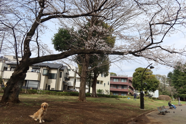 ファイル 7958-5.jpg