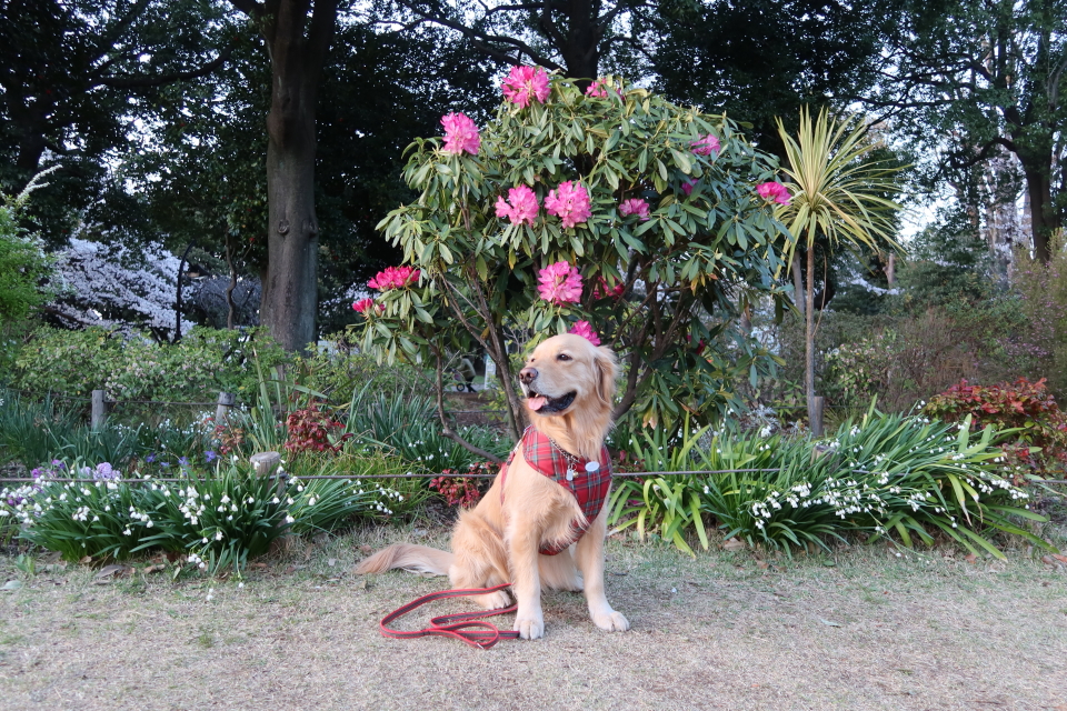 ファイル 7960-2.jpg