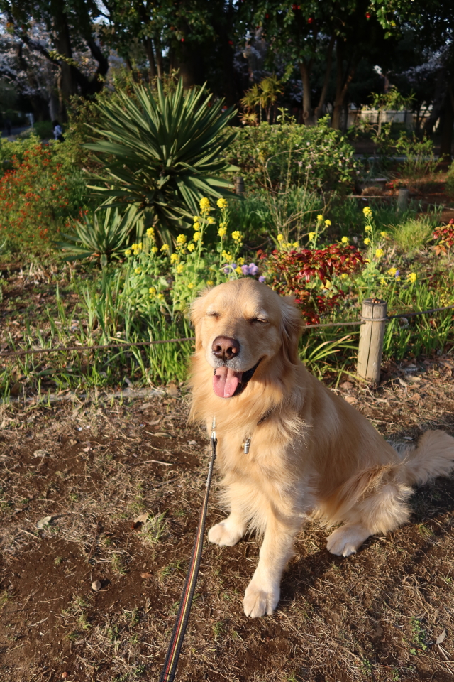 ファイル 7960-4.jpg