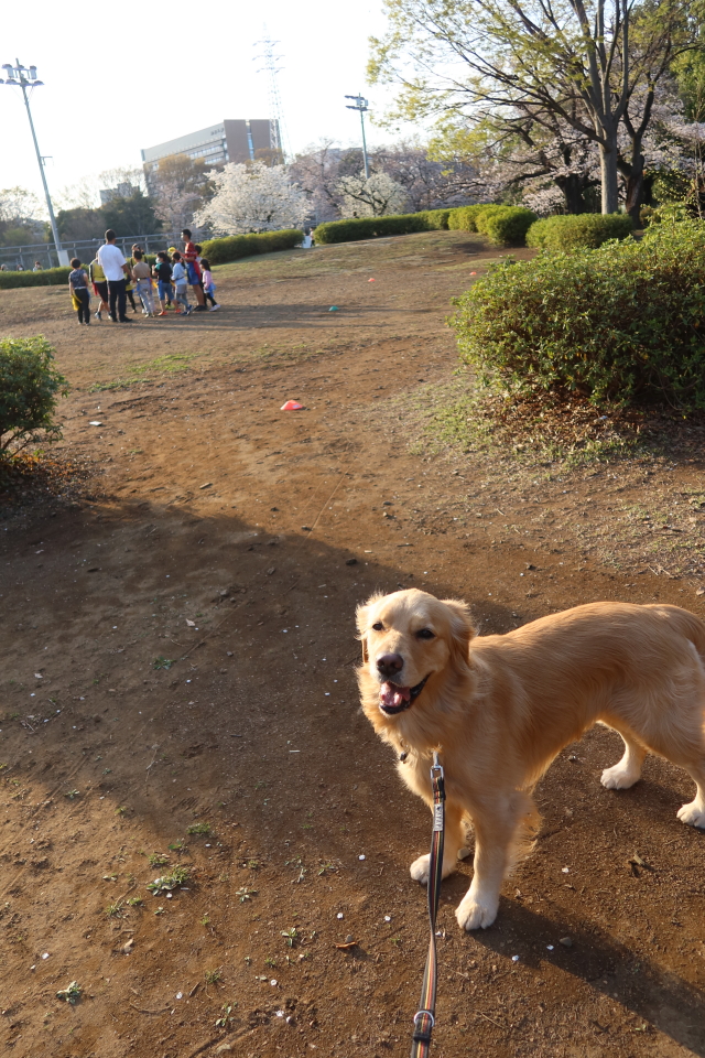 ファイル 7960-5.jpg