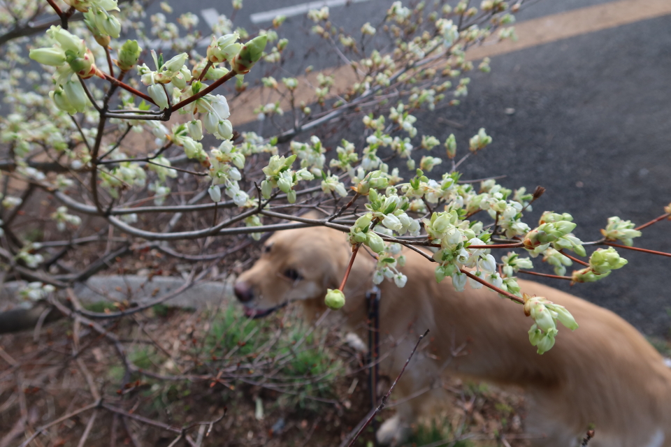 ファイル 7961-3.jpg