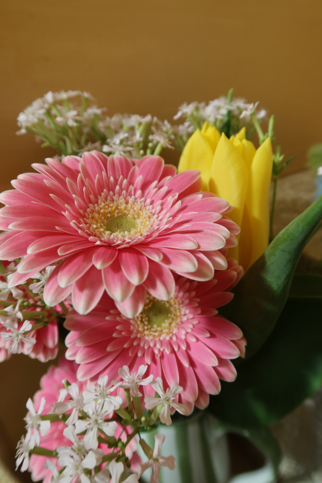 ファイル 7962-4.jpg