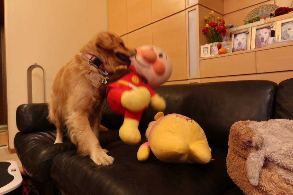 ファイル 7968-2.jpg