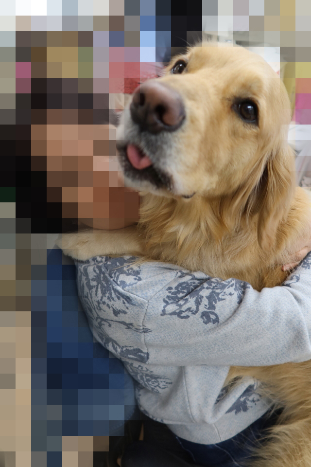 ファイル 7969-1.jpg