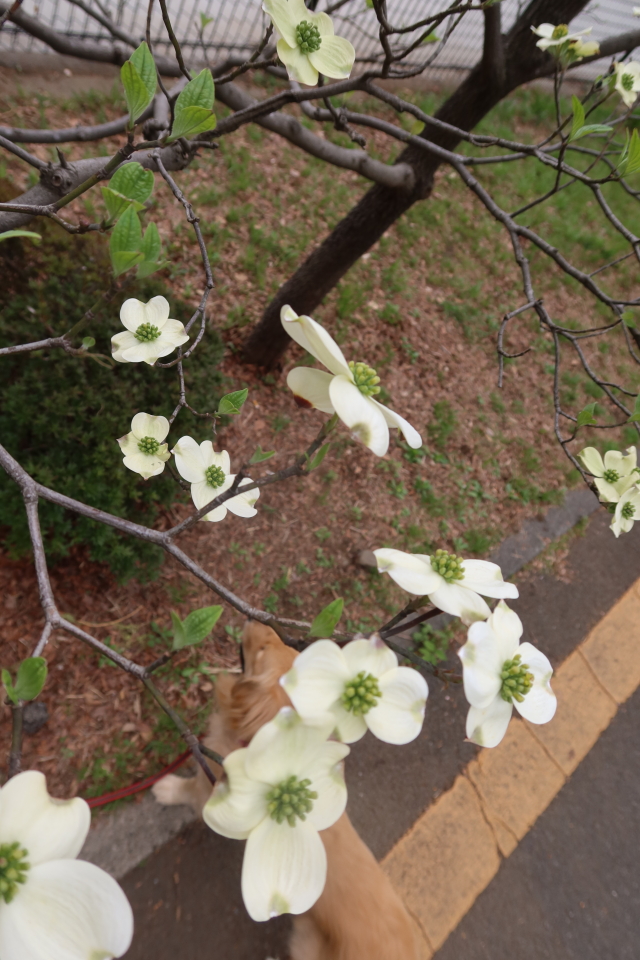 ファイル 7969-3.jpg