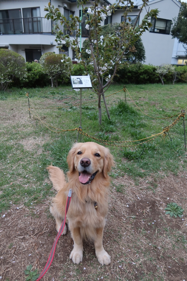 ファイル 7969-4.jpg