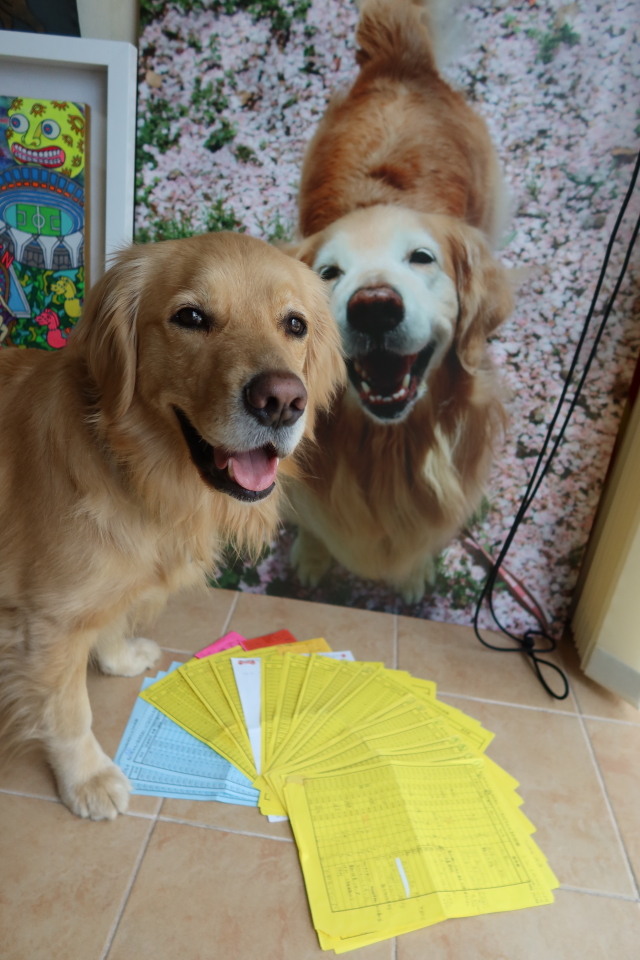 ファイル 7969-5.jpg