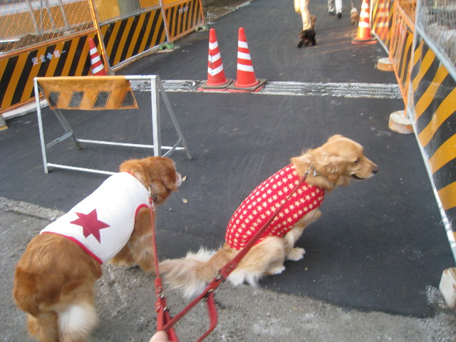 ファイル 797-1.jpg