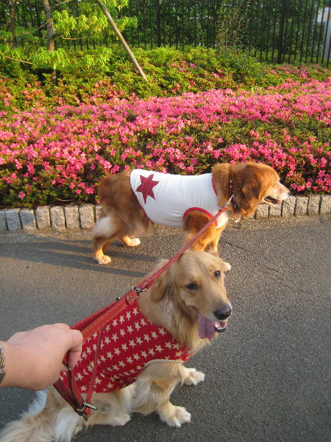 ファイル 797-2.jpg