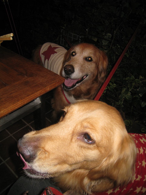 ファイル 797-3.jpg