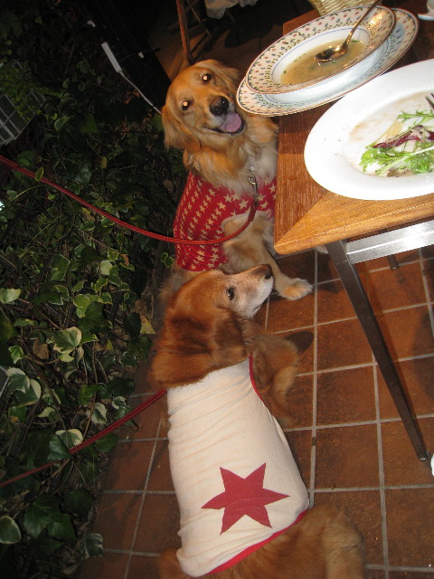 ファイル 797-4.jpg