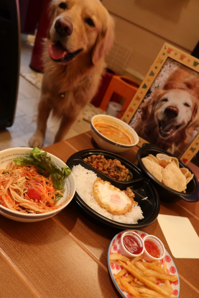 ファイル 7971-1.jpg