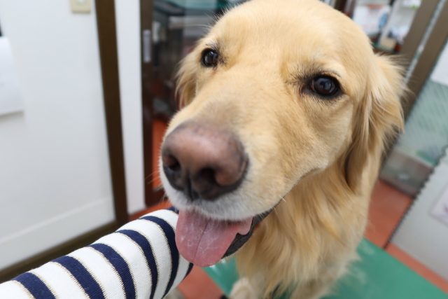 ファイル 7972-1.jpg