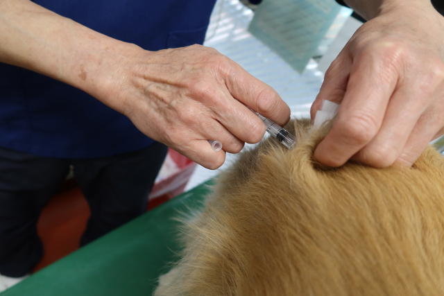 ファイル 7972-2.jpg