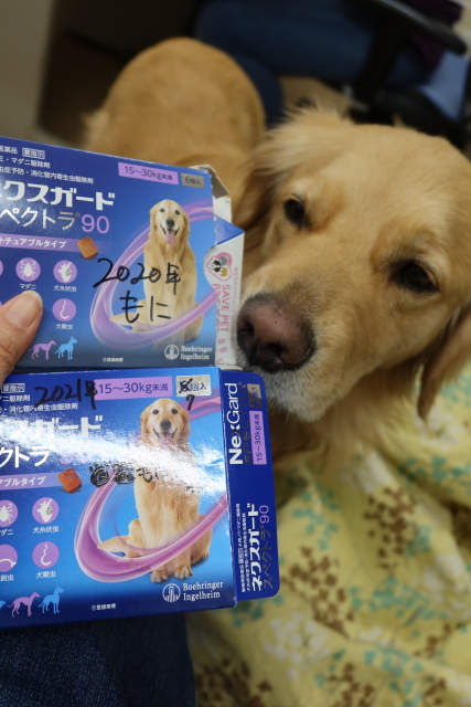 ファイル 7972-4.jpg