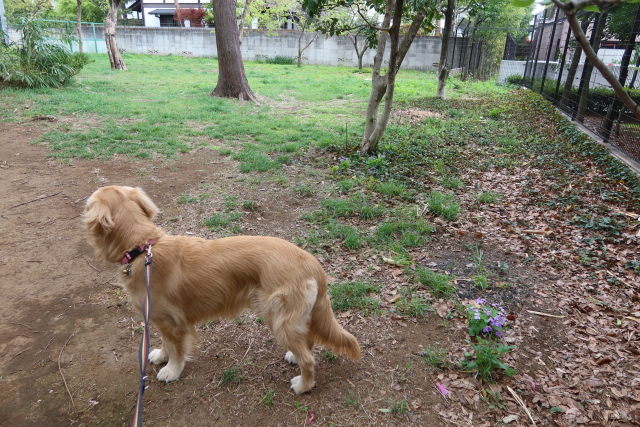 ファイル 7973-5.jpg