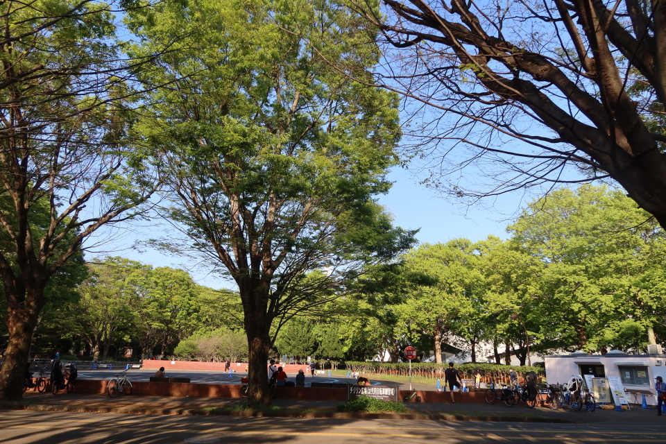 ファイル 7975-1.jpg