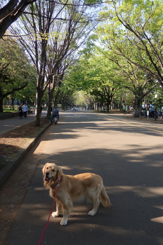 ファイル 7975-2.jpg