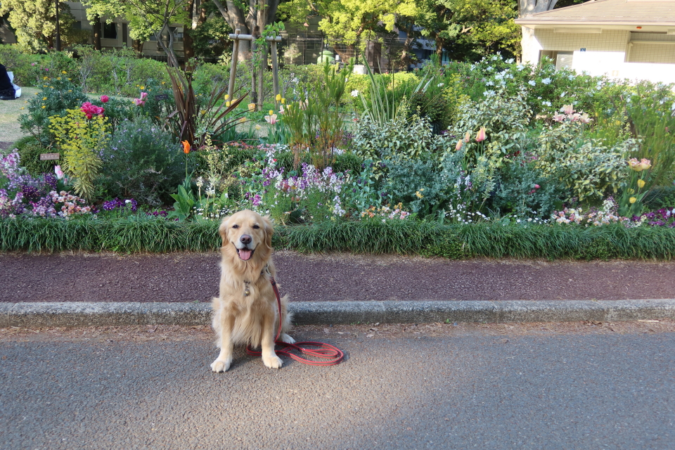 ファイル 7975-5.jpg