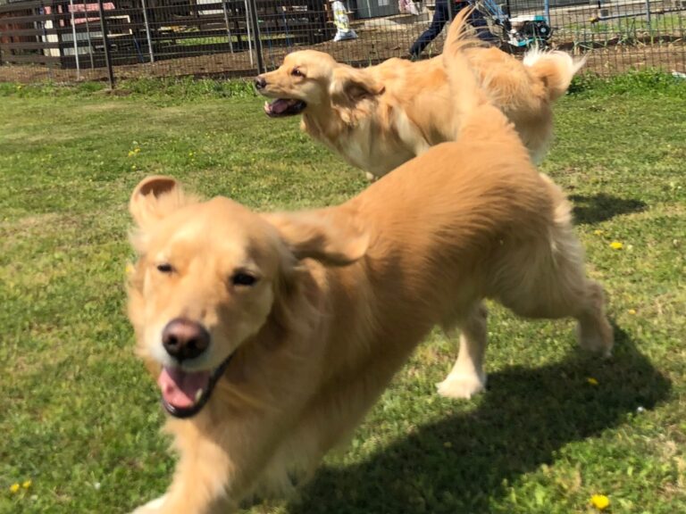 ファイル 7976-4.jpeg