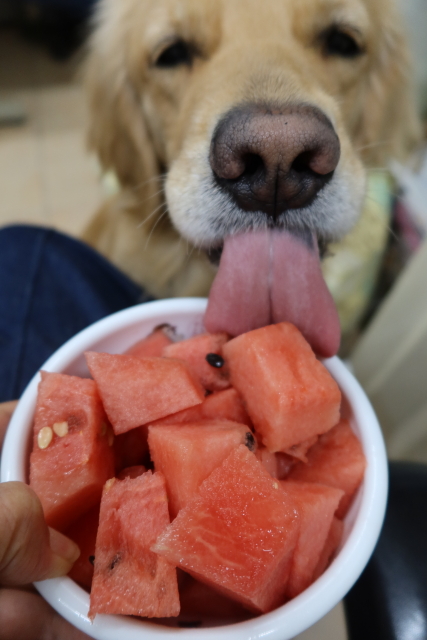 ファイル 7977-2.jpg