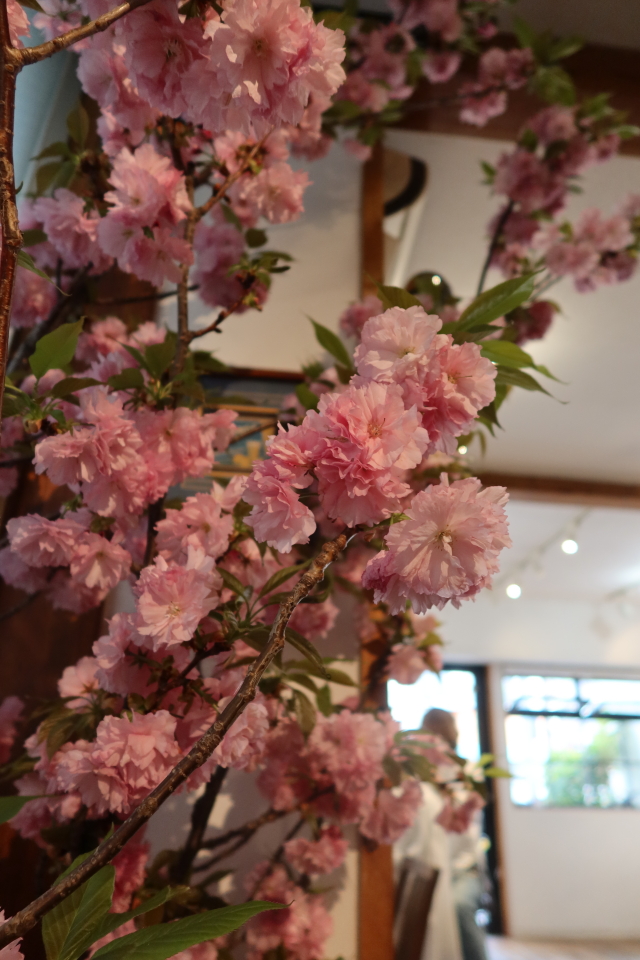 ファイル 7978-4.jpg