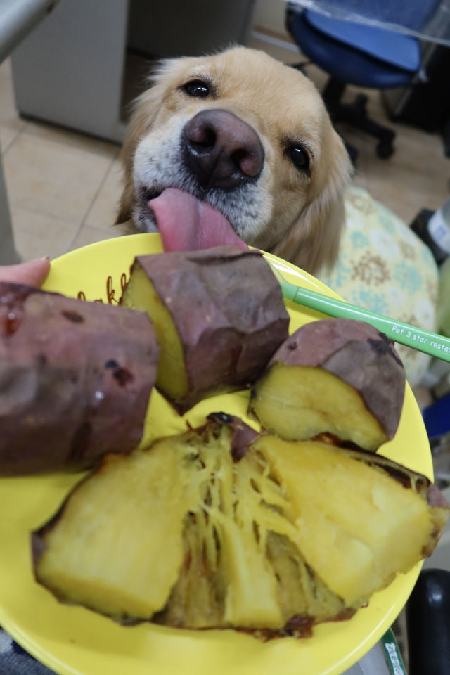 ファイル 7979-5.jpg