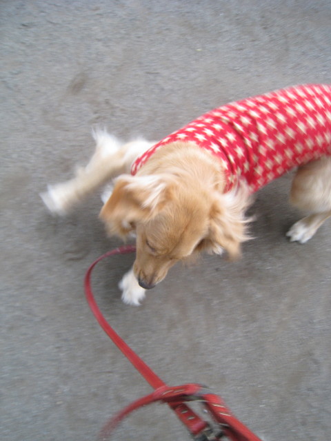 ファイル 798-3.jpg