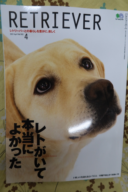 ファイル 7980-5.jpg