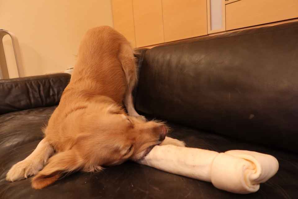 ファイル 7981-5.jpg