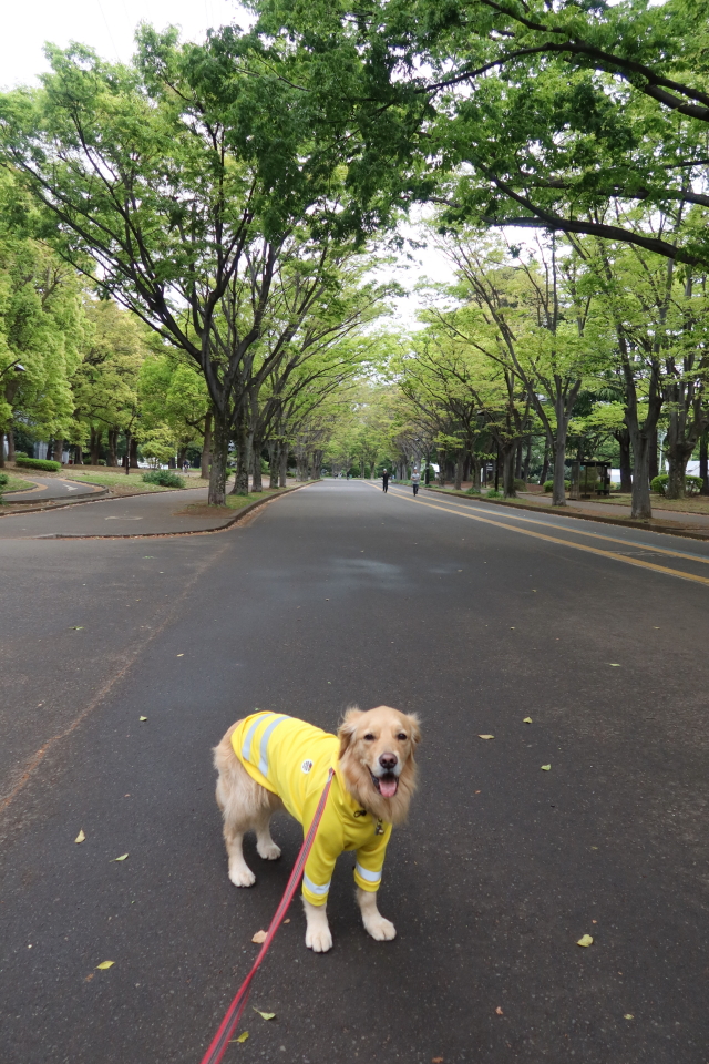 ファイル 7982-1.jpg