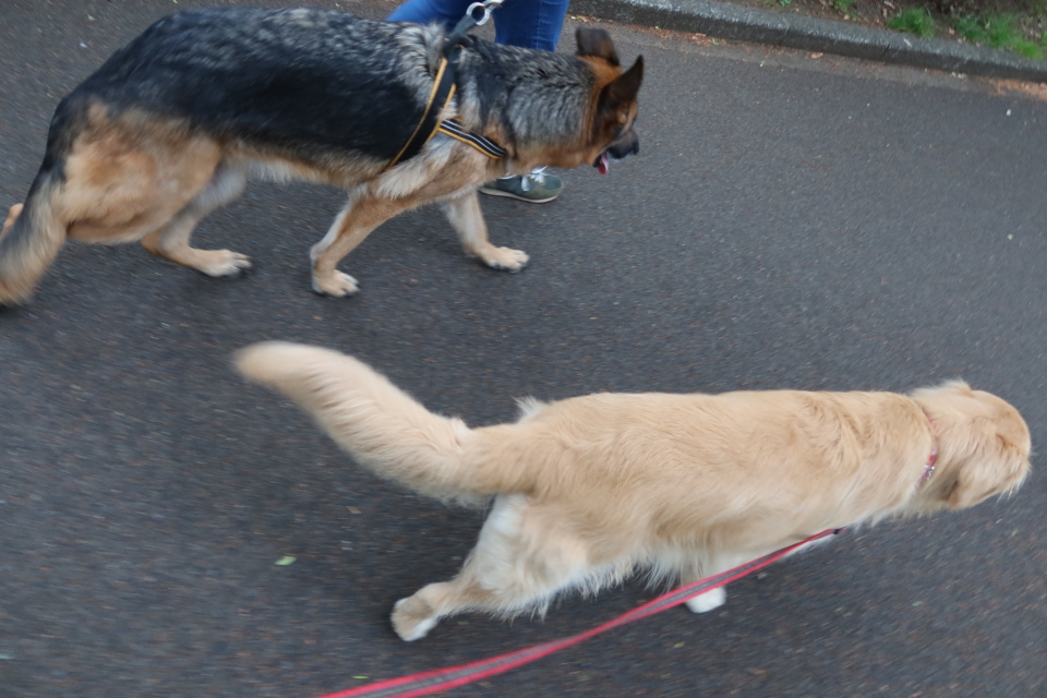 ファイル 7982-2.jpg