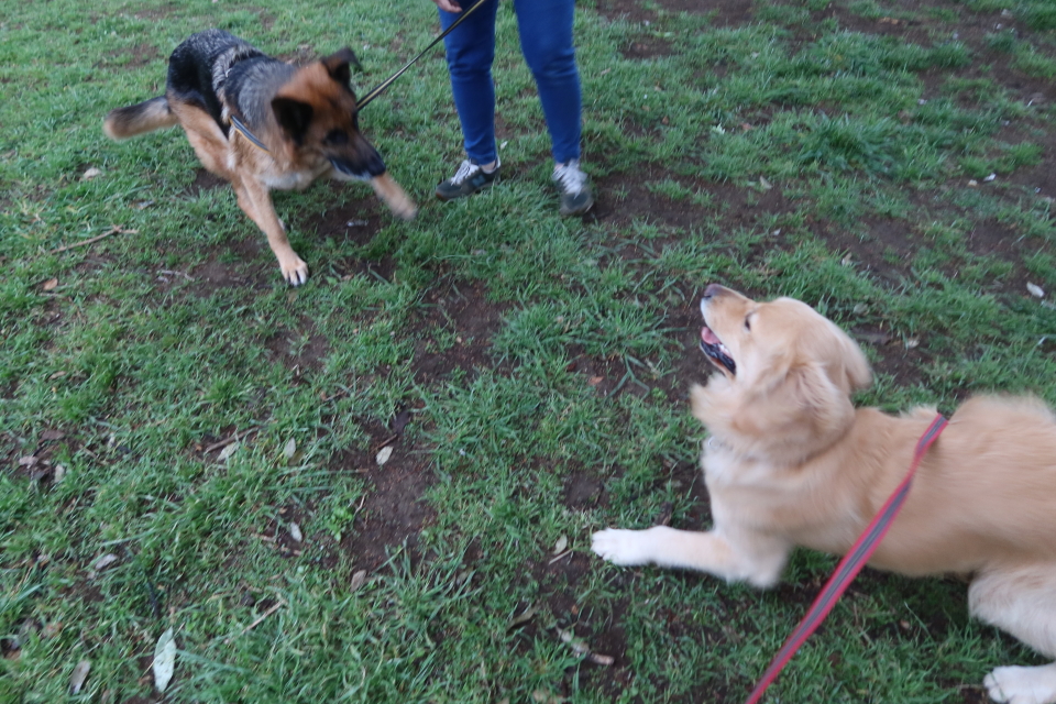 ファイル 7982-3.jpg