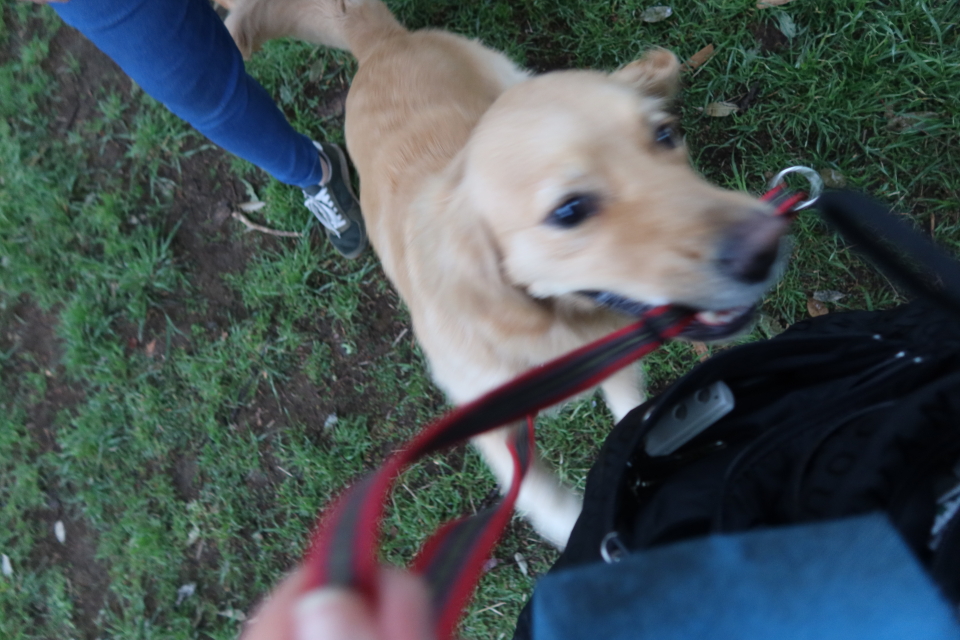 ファイル 7982-4.jpg