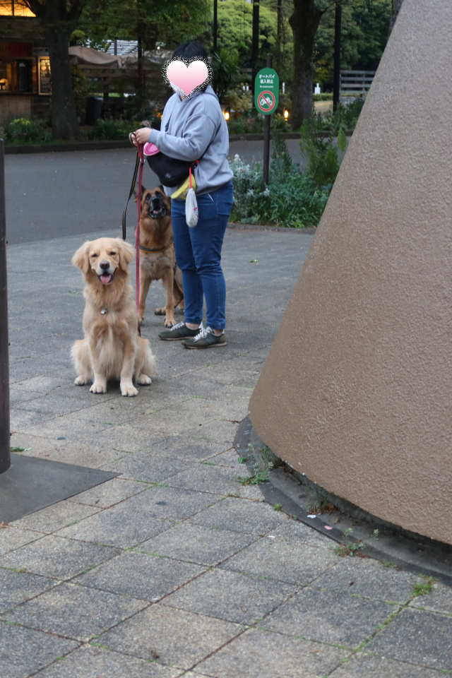 ファイル 7982-5.jpg