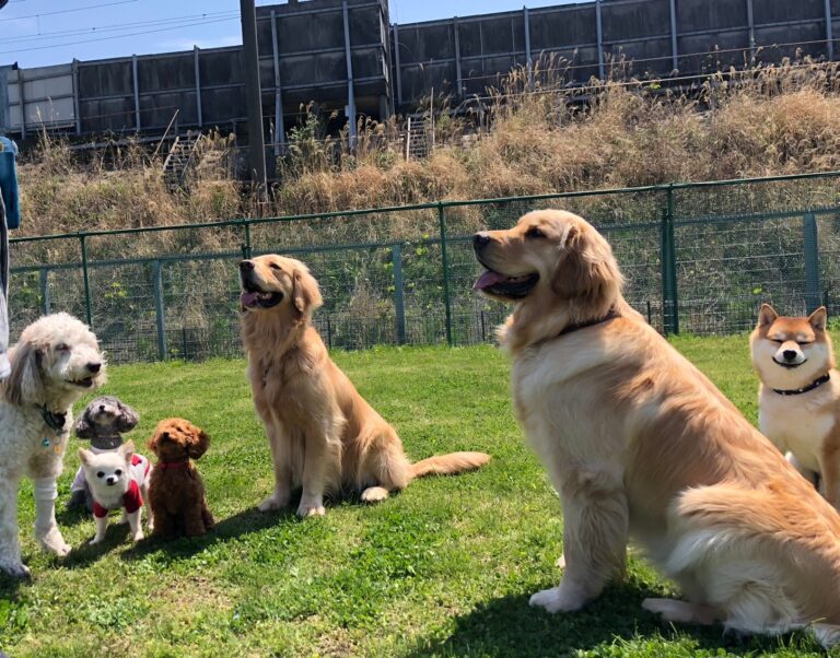 ファイル 7983-1.jpeg