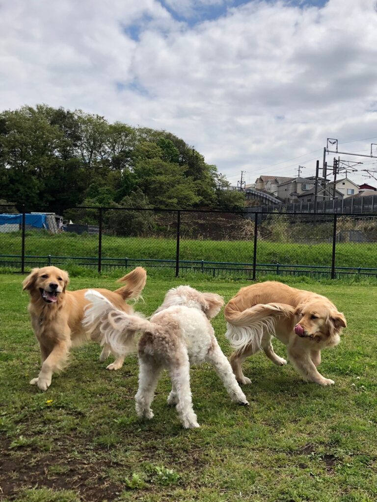 ファイル 7983-5.jpeg