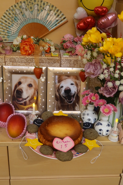 ファイル 7984-1.jpg