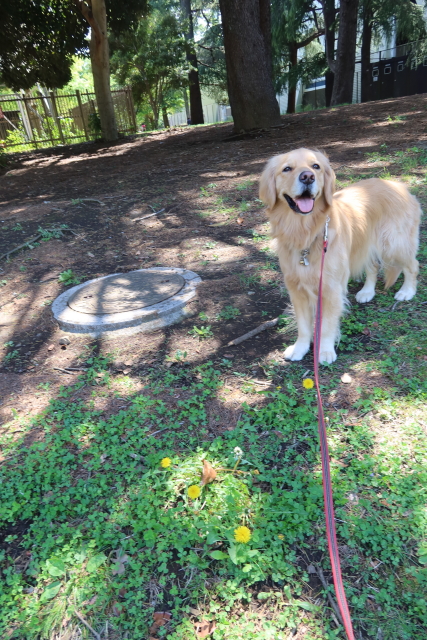 ファイル 7985-3.jpg